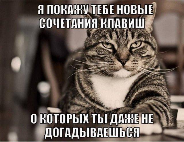 ������ ����� � ���� �� ���� (15 ����)