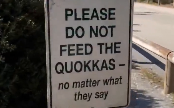 "�������, ��� ��� ������� - �� ������� �����" (�����)