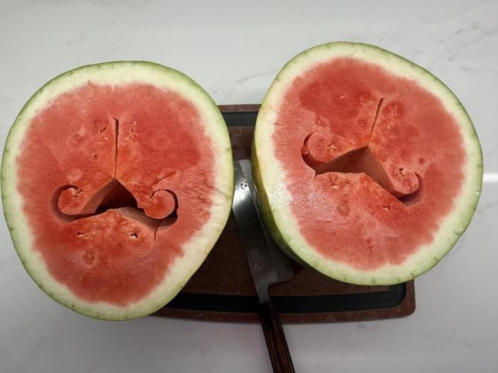 ������ ������ (30 ����)
