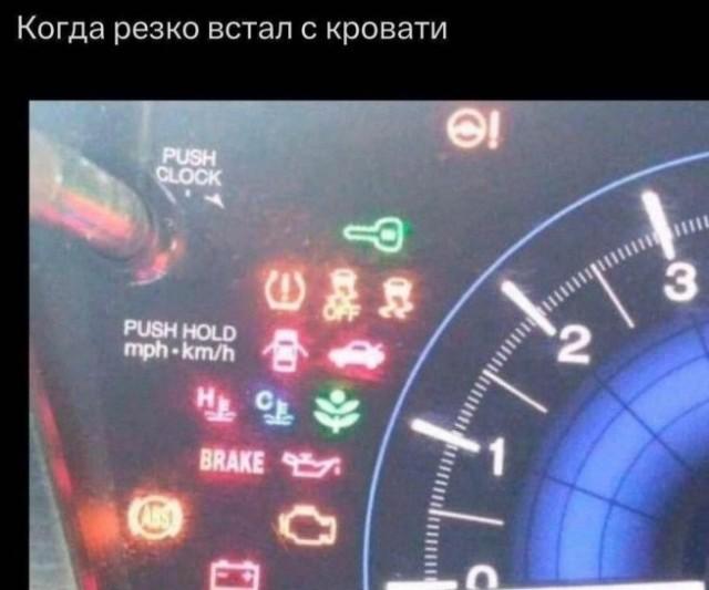 ������� �������� (15 ����)