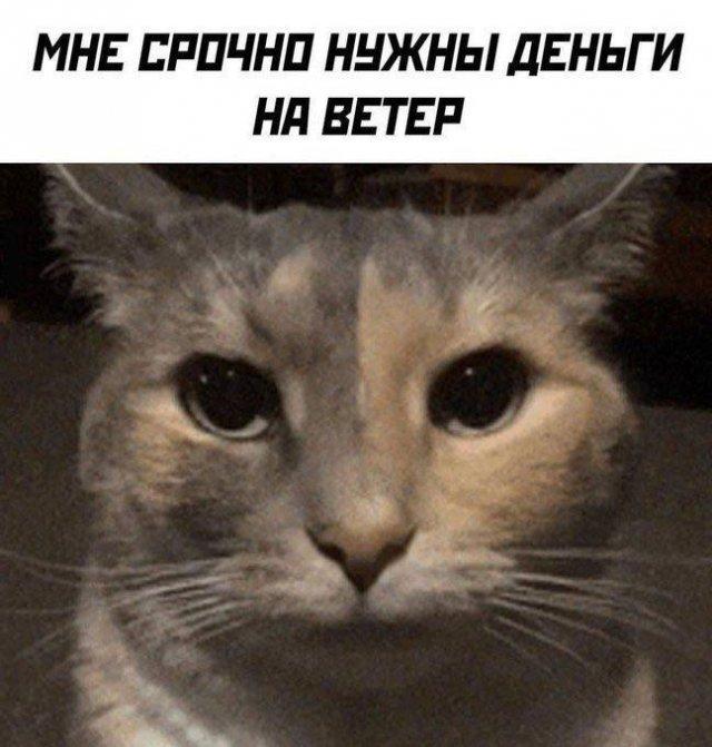 ������ ����� � ���� �� ���� (15 ����)