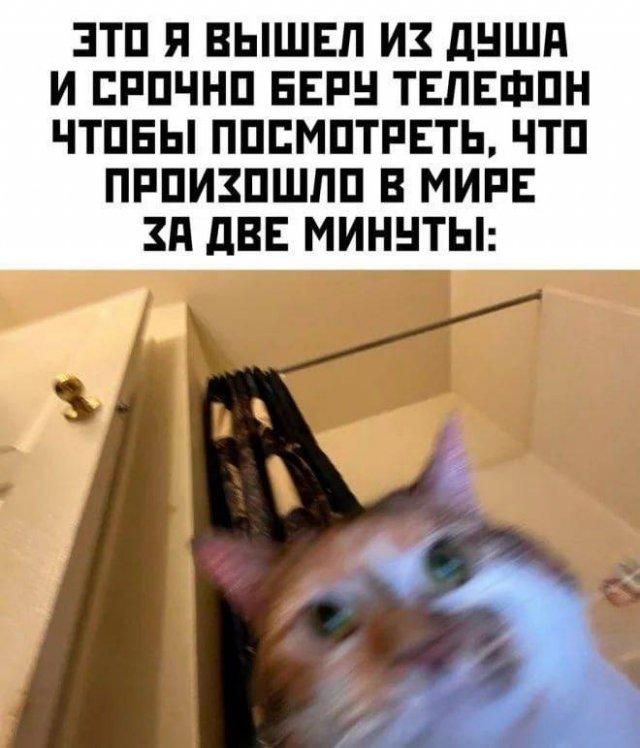 �������� ���������� ���� �3983 (30 ����)