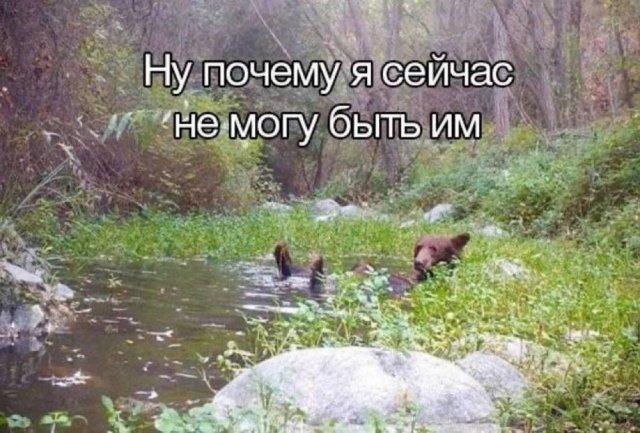 ������� �������� (15 ����)