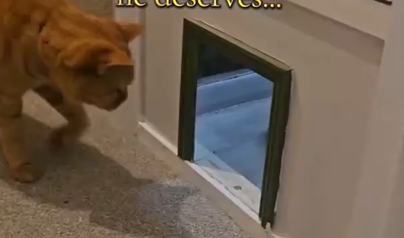 ����������� ������ ��� ���� (�����)