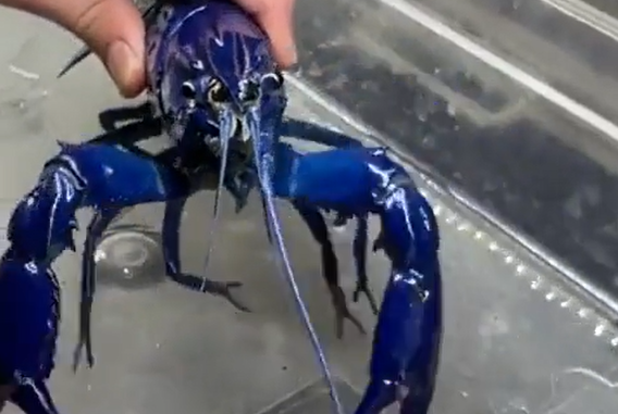 ���� ��������� ������ �������� - 1 � 2 ���������! (�����)