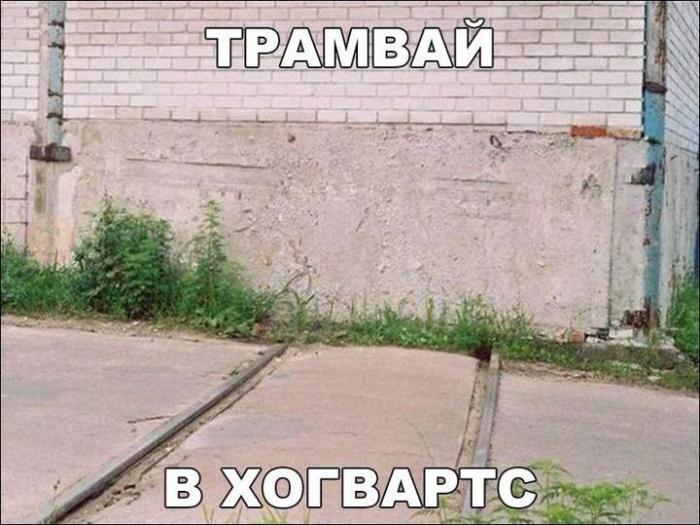 ������� �������� (15 ����)