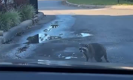 Ƹ �� ���� �� ��� ��� (�����)