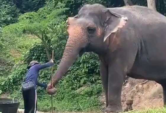 �������, ���-�� ��������� ��������� (�����)