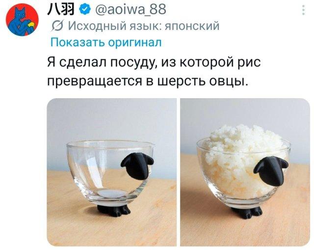 �������� �������� ������ ��� ���� (15 ����)
