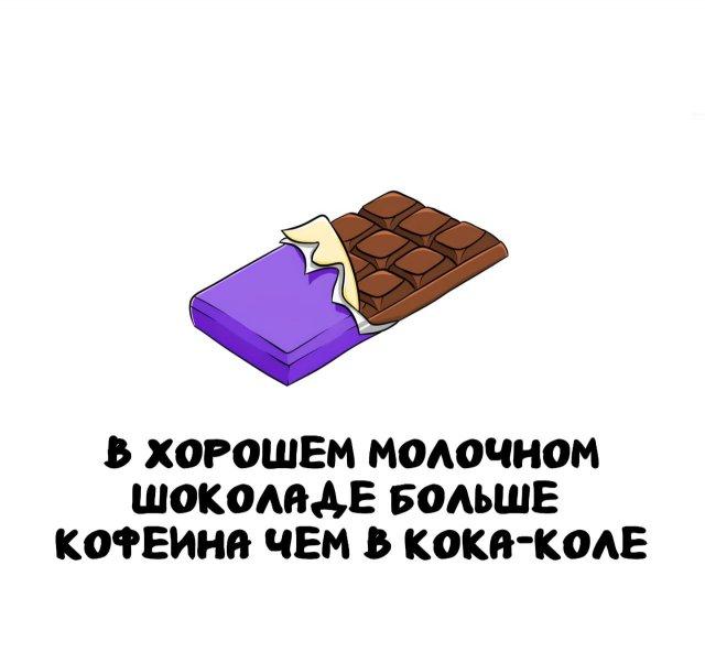 ���������� ����� �� ��� ������ ����� (15 ����)