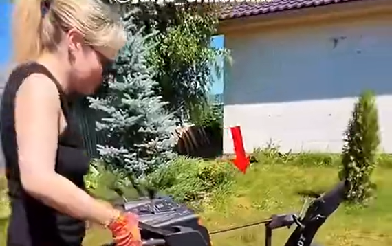 ���� ������ ����������� �� ������� (�����)