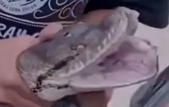 ������ ���� ������, ��� � ���� ����� 2 ���� (�����)