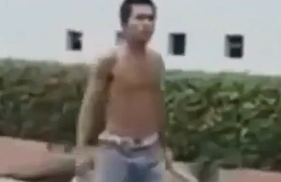 ������ (�����)