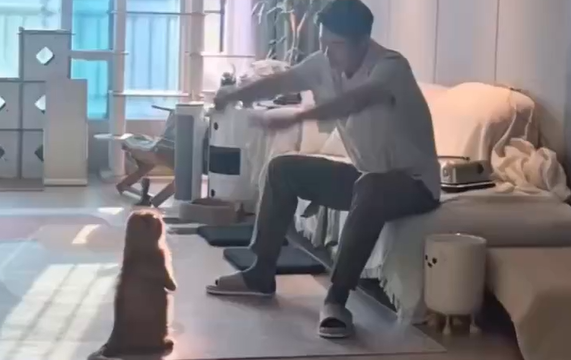�������� ���������� (�����)