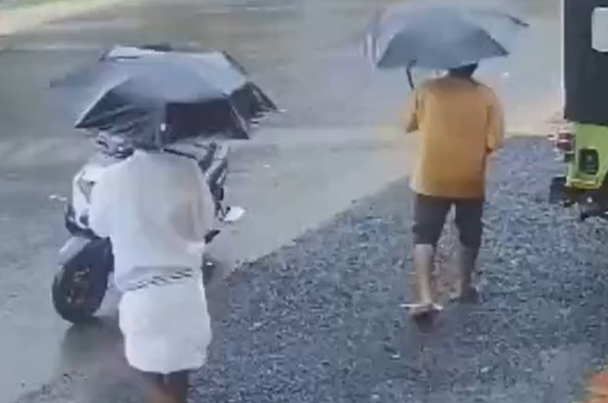 �������, ���� �� ������� ����������!� (�����)