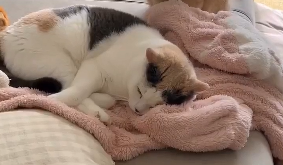 ����� ����� ���-�� ����������� ����, � ���� �� ������ (�����)