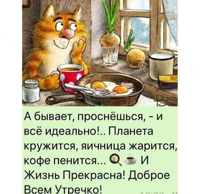 ������� �������� (15 ����)