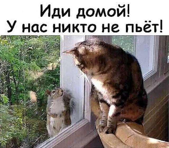 ������ ����� � ���� �� ���� (15 ����)