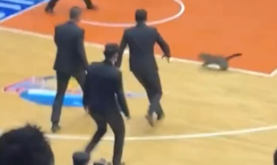 �������. ������ ����� �����! (�����)