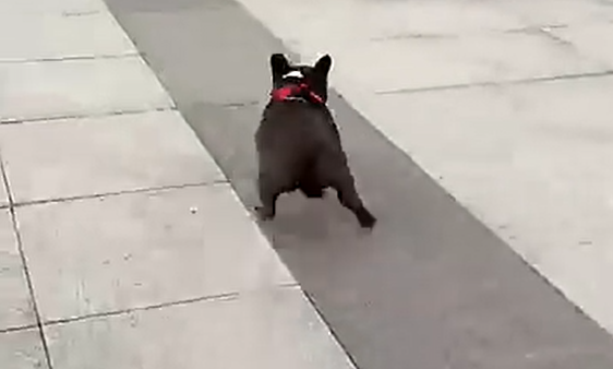 ��������� �����! (�����)