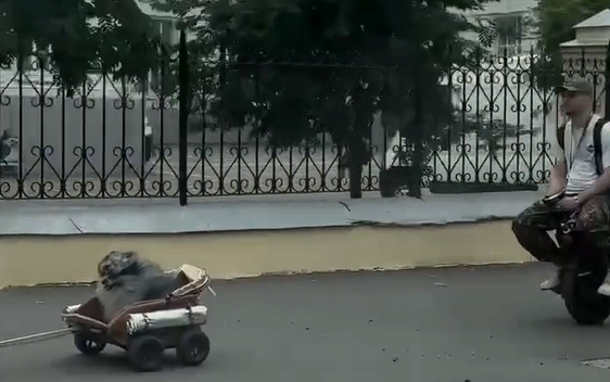 ������ ������� �����, � ����� �������� �� ���������� �� ����� �������... (�����)