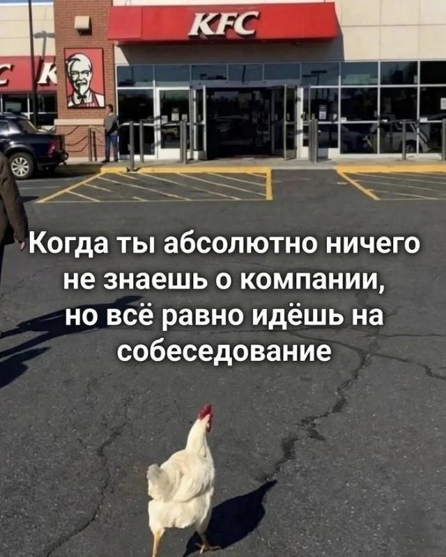 �������� ���������� ���� �3992 (30 ����)