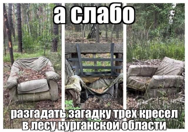 ������� �������� (15 ����)