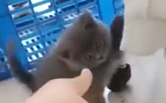 �� � ���� ������� �� ����! (�����)