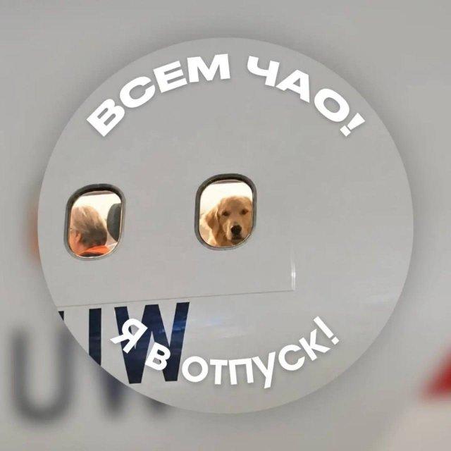�������� �������� ��� ���, ��� ���� � ������ (8 ����)