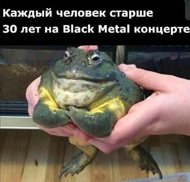������ ����� � ���� �� ���� (15 ����)