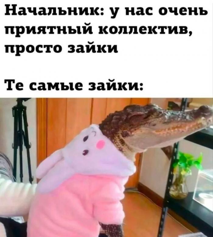 �������� ���������� ���� �3994 (30 ����)