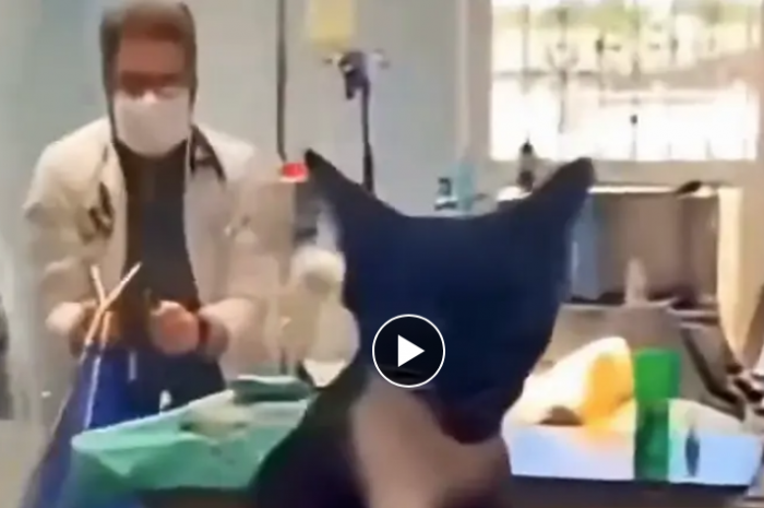 ������� ���� � ������������ ������� (�����)