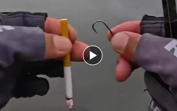 ����� ������� �� 500 ��� (�����)