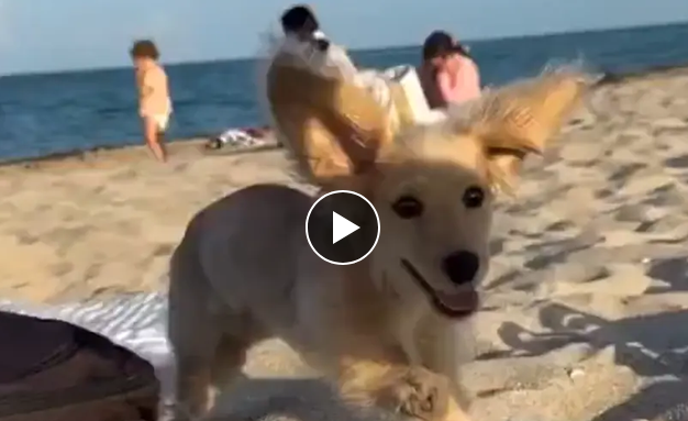 ��������� ������� (�����)