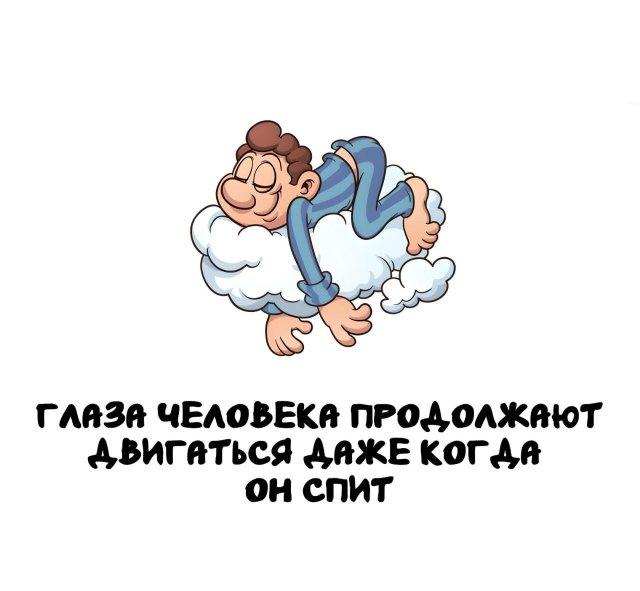 ���������� ����� �� ��� ������ ����� (15 ����)