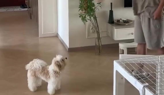 ����� ������ (�����)