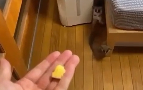 ��������� �������� (�����)