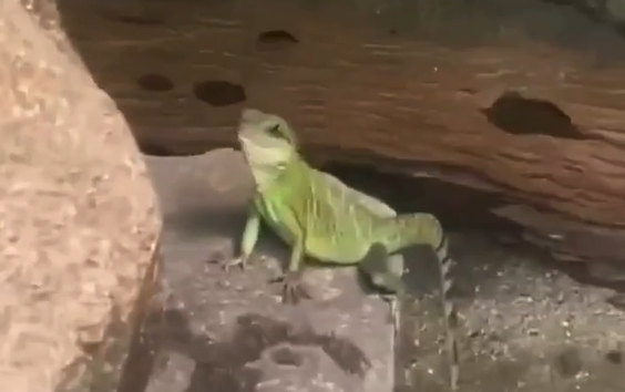 ����� �������� ������ � ���� (�����)