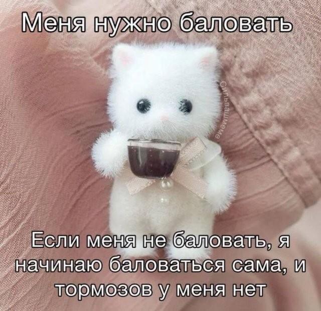 Смешные картинки (15 фото)