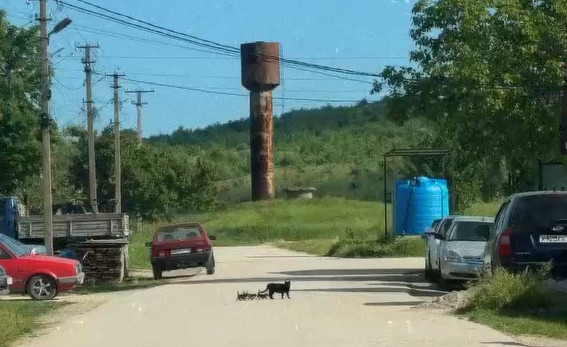 � ����� ������ �� ������� (�����)