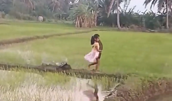 �������, ��� � �������� (�����)