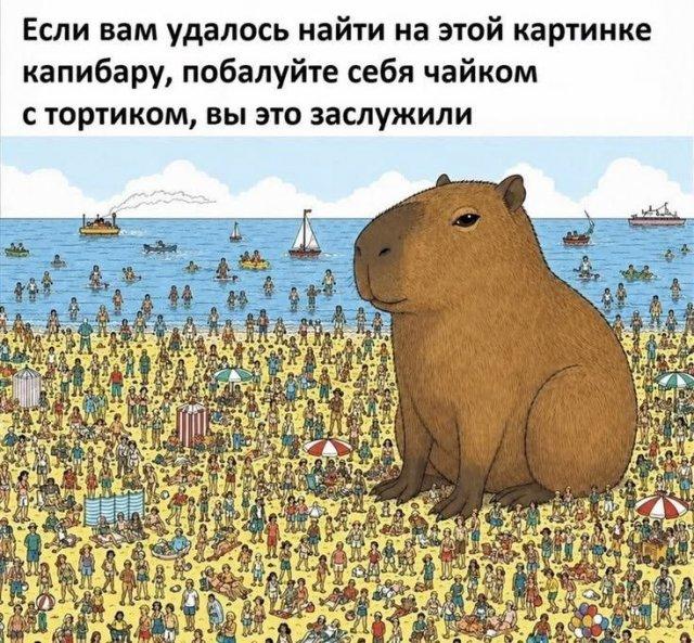 ������� �������� (15 ����)