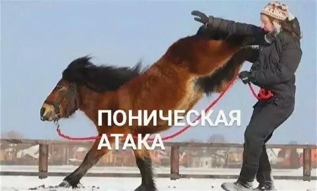 ������ ����� � ���� �� ���� (15 ����)