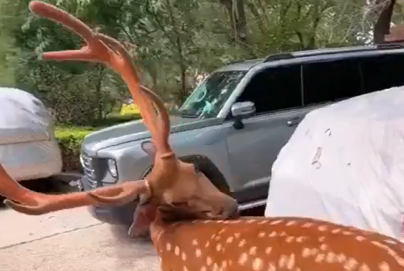 ��������� ����� ��� (�����)