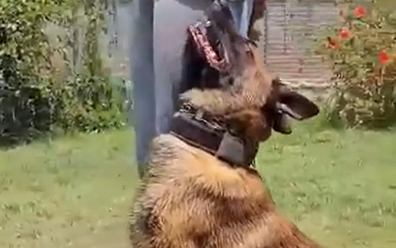 �� �� ���� �� �������� �� �������� �� ��������� (�����)