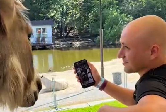 ����� ������� ����� ������� ����� (�����)