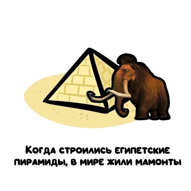 ���������� ����� �� ��� ������ ����� (15 ����)