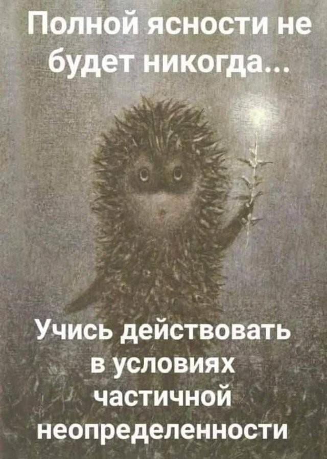 ������� �������� (15 ����)
