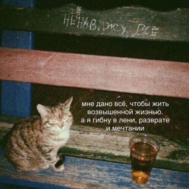 ������� ���� (15 ����)