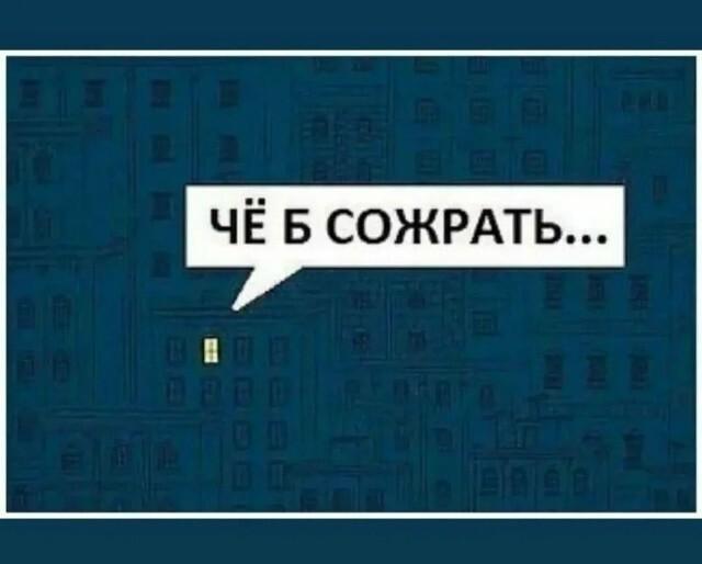 ������� �������� (15 ����)
